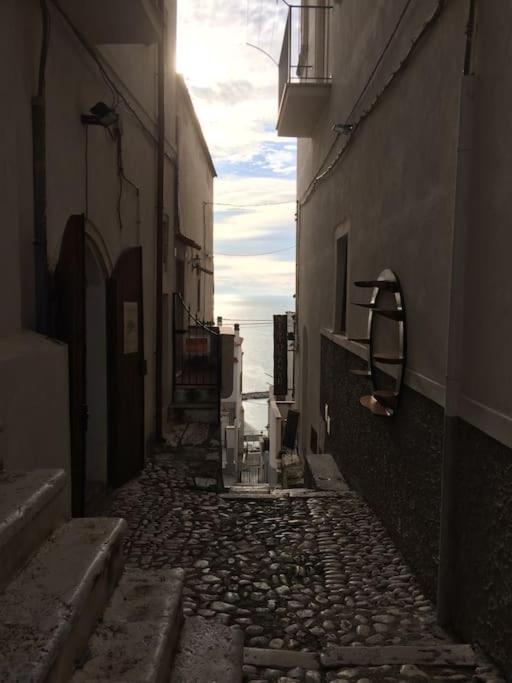 Il gabbiano, attico con terrazzo vista mare - Apartment - 25