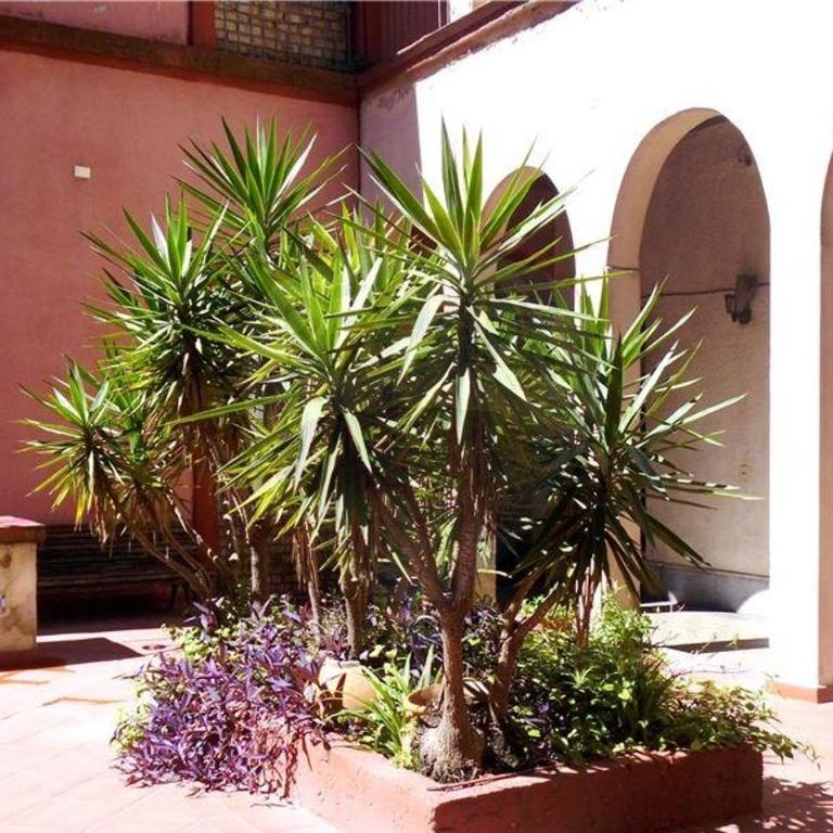 Loft Mitre - Loft - 2