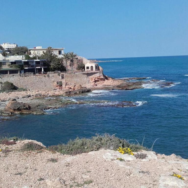Bungalow frente al mar - Apartamento - 37