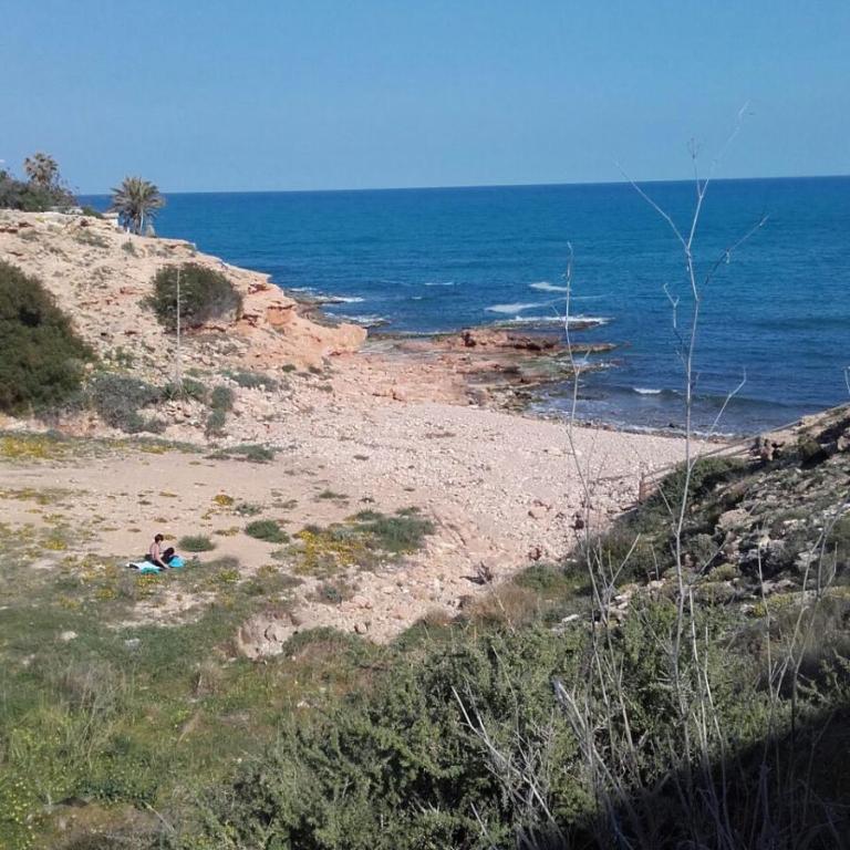 Bungalow frente al mar - Apartamento - 39