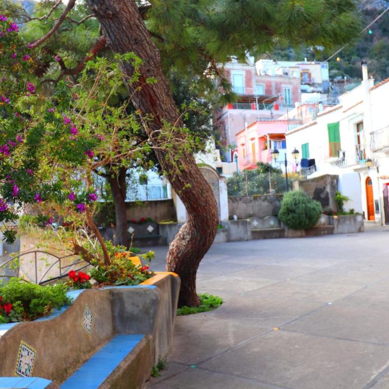 Angolo di Paradiso - De Vivo Realty Positano - Casa Vacanze - 19