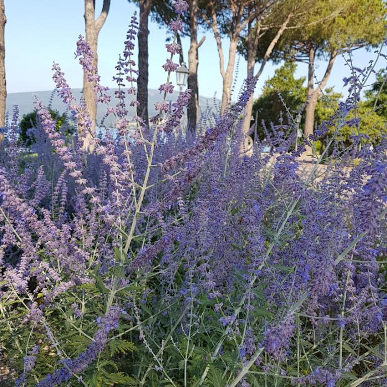 La Colombaia Nel Castello - Appartamento su 2 Livelli con 1 Camera da Letto - 29