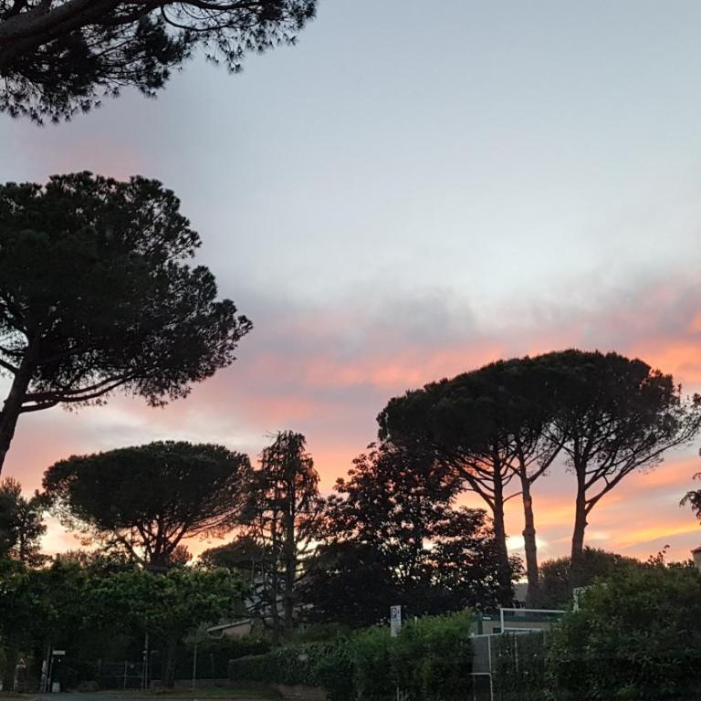 La Colombaia Nel Castello - Appartamento su 2 Livelli con 1 Camera da Letto - 34