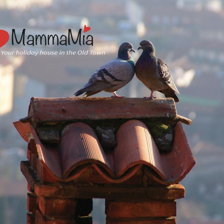 MammaMia - Appartamento con Balcone - 50