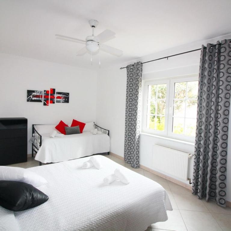 Casa Hibiscus - Casa - 20
