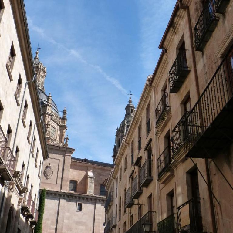 LAS CATEDRALES De SALAMANCA - Apartment - Ground Floor - 3
