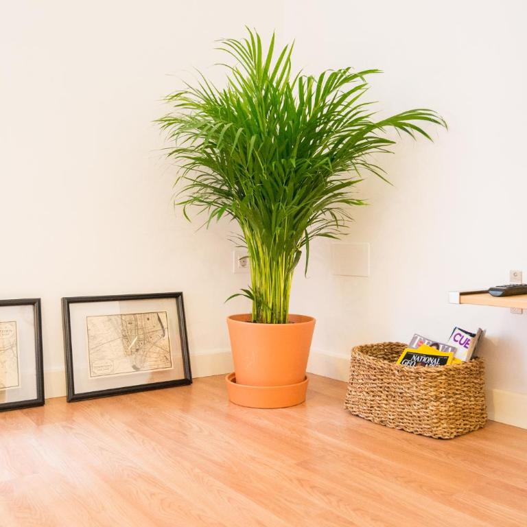 Homely Malaga Plaza Montaño - Apartamento - Planta baja - 36