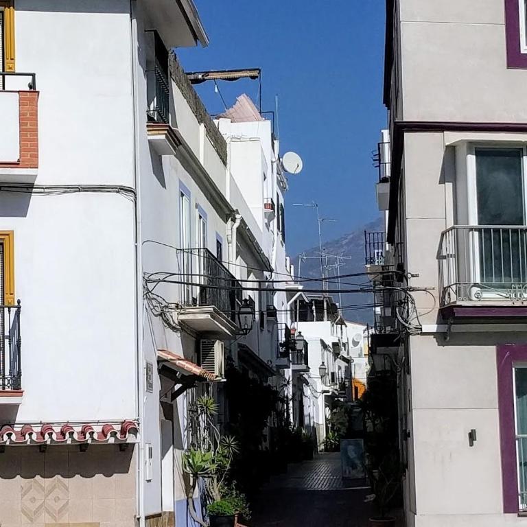 Casa-Casita - Apartamento - Planta baja - 5