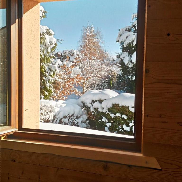 Esprit Myrtille Terrasse Vue Lac - Appartement - 64
