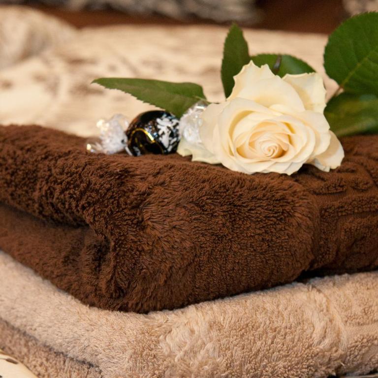 Lion Homestay Munich - Zimmer mit Kingsize-Bett und Balkon - 25