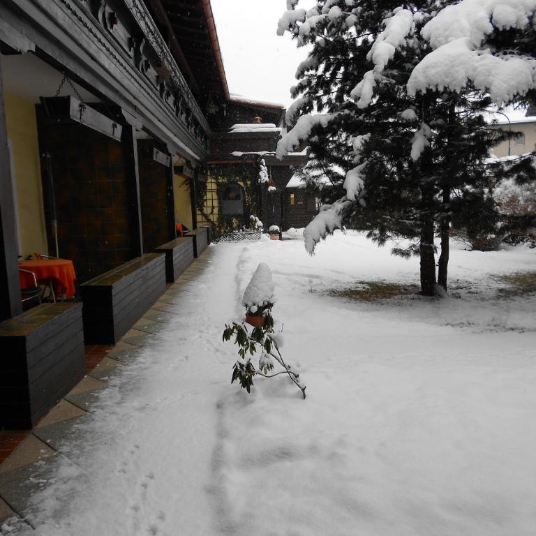 Alpen-Appartementhof - Apartment mit 2 Schlafzimmern und 1 Badezimmer - 9
