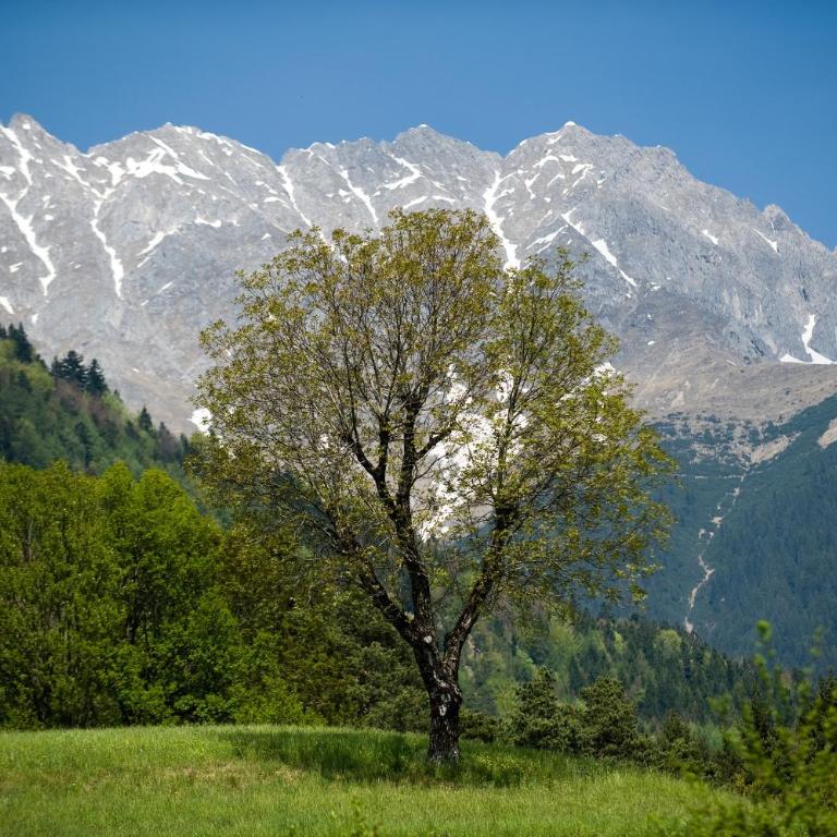 Kasperhof Apartments Innsbruck Top 6 - 7 - Appartamento con 2 Camere da Letto - 17