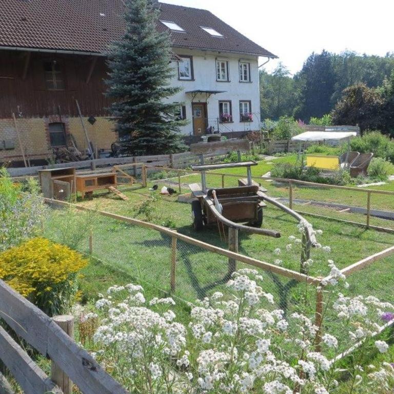 Carlo - Apartment mit Terrasse - 5