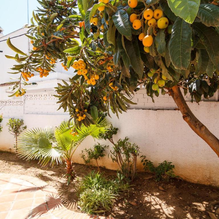 Los Pinos 23 Villas Casasol - Casa de vacaciones de 2 dormitorios - 24