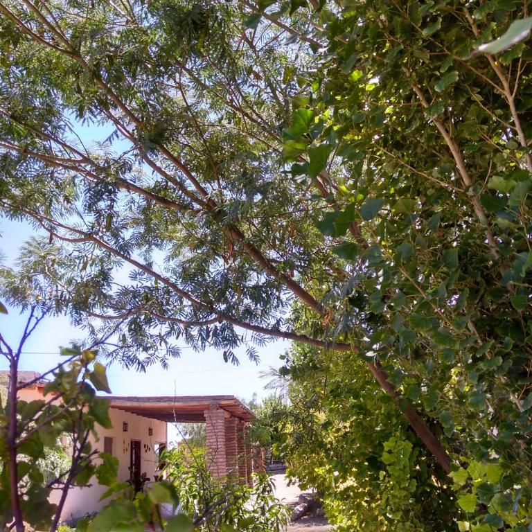 Apapachar - Casa - 7