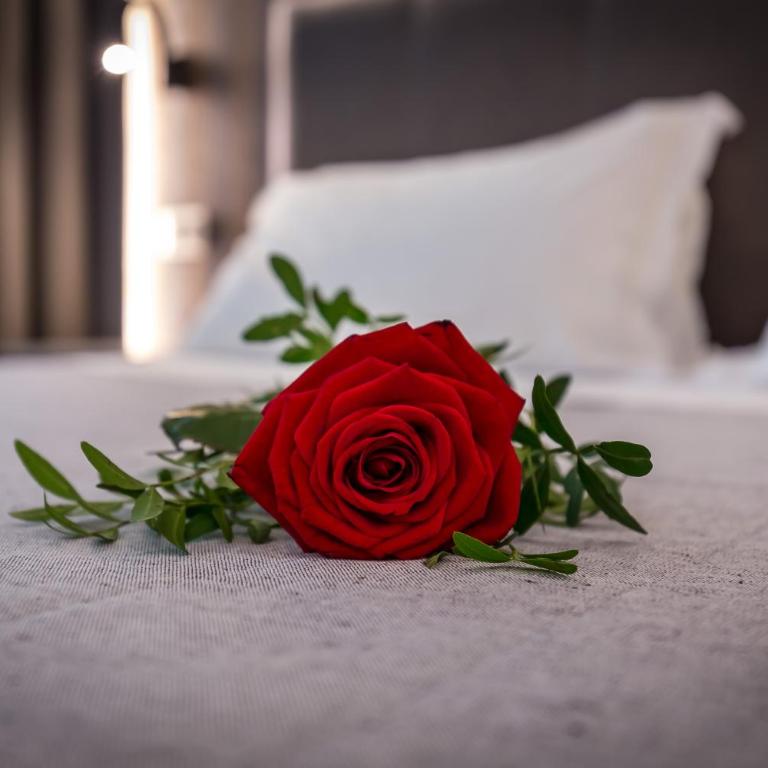 Blu Notte Guest House - Suite - 1