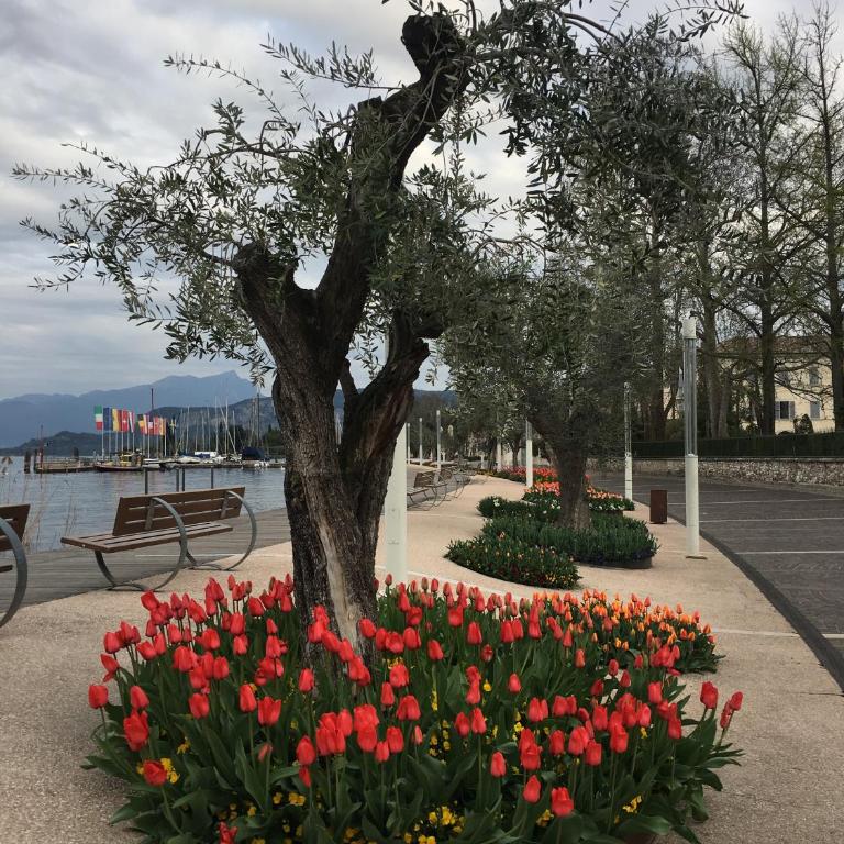 Cabà Holiday Bardolino D'Annunzio - Appartamento con Vista Lago - 23