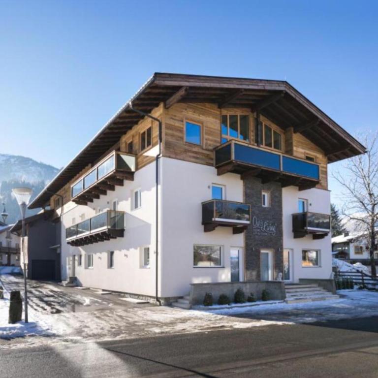 Luxury Kitzbuheler Alpen Penthouse with Sauna Hollersbach - Apartment with Mountain View - 39