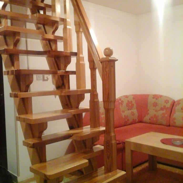 Apartman Joca Zlatibor - Apartment - 9