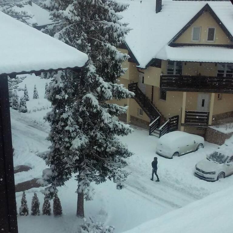 Apartman Joca Zlatibor - Apartment - 17