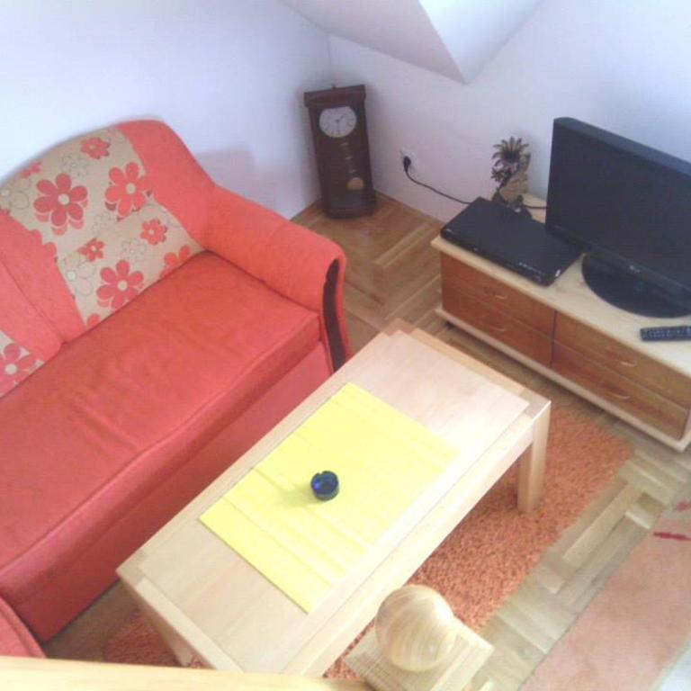 Apartman Joca Zlatibor - Apartment - 8