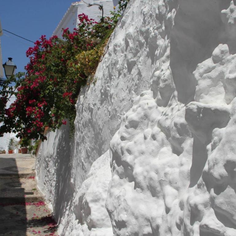 Algarabí - Casa - 30