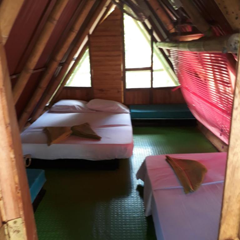 Hostel Cattleya - Standard Double Room with Shared Bathroom - 3