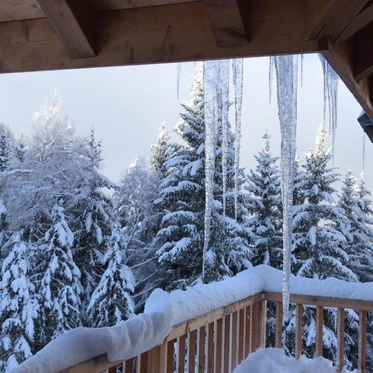 Chal'Oz by OzAlpes - Chalet - 45