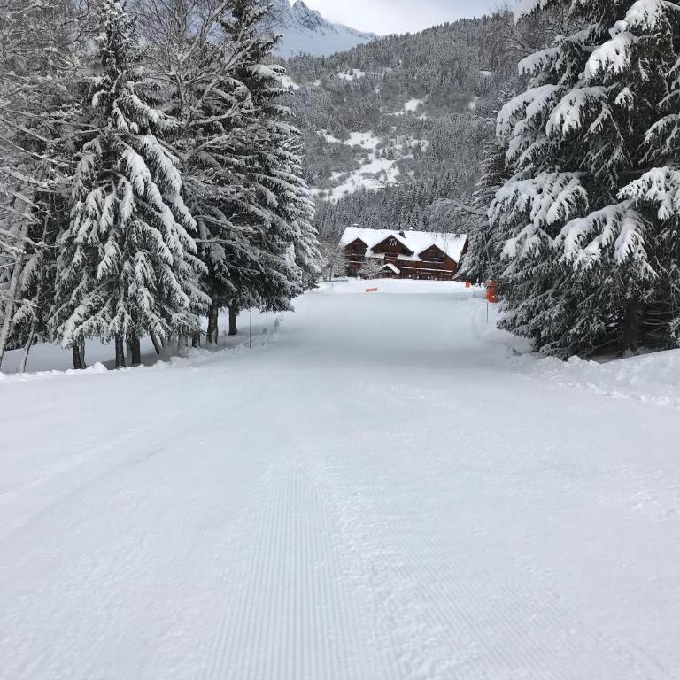 Chal'Oz by OzAlpes - Chalet - 29