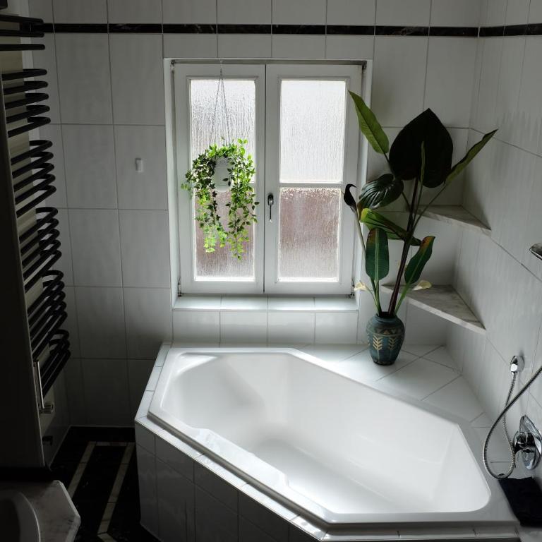 Ferienwohnung Stangassinger - Apartment - Erdgeschoss - 4