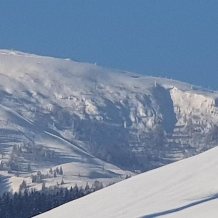 Zum Alten Forsthaus - Apartment mit Blick auf die Berge - 1