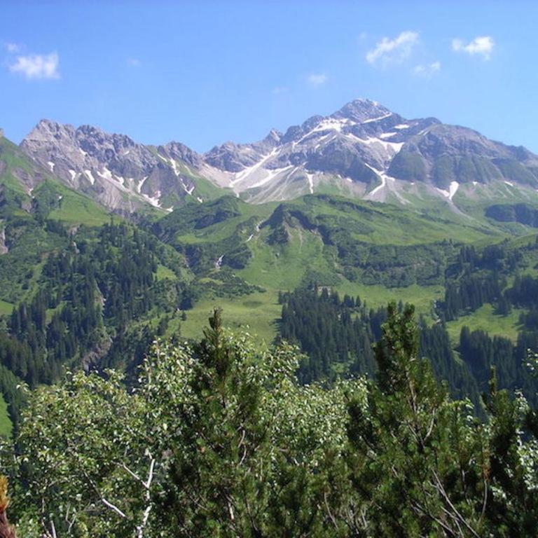Landhaus Sonnenbichl - Superior Studio-Apartment mit Bergblick - 15