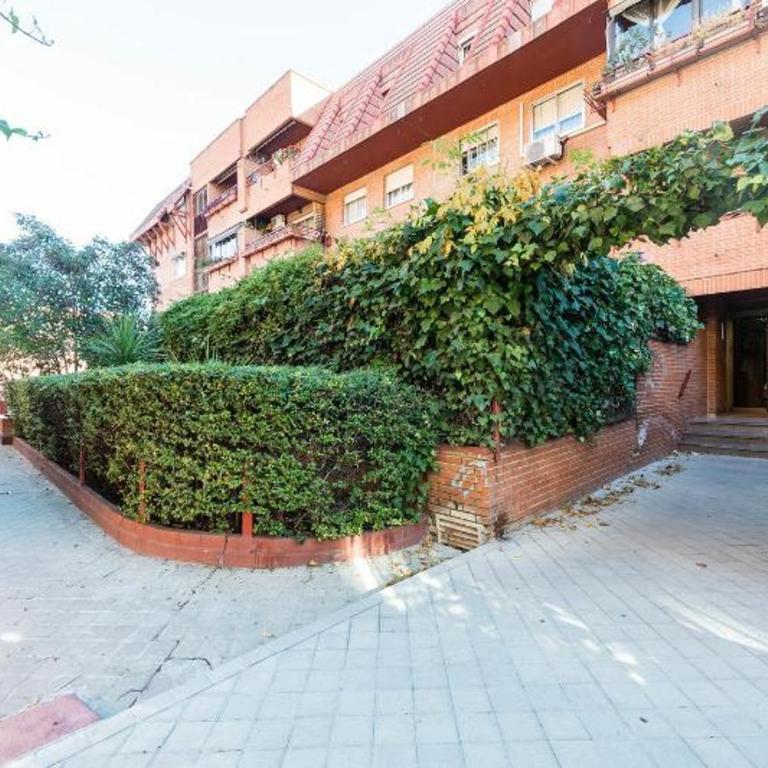Vivienda Familiar con Jardin junto a Ifema - Apartment - 53