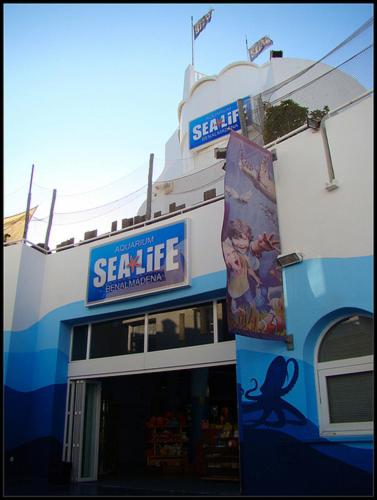 Benalmadena Costa Sol Holiday Rentals - Apartamento - 87