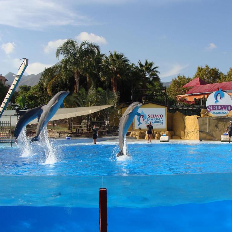 Benalmadena Costa Sol Holiday Rentals - Apartamento - 78
