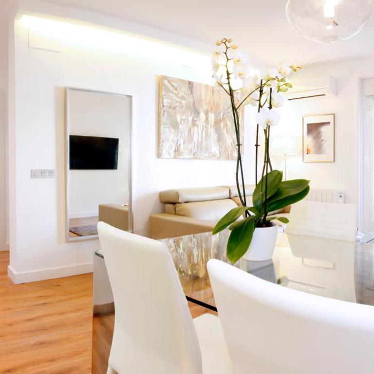 Madrid Centric Suites - Apartamento Deluxe - 3