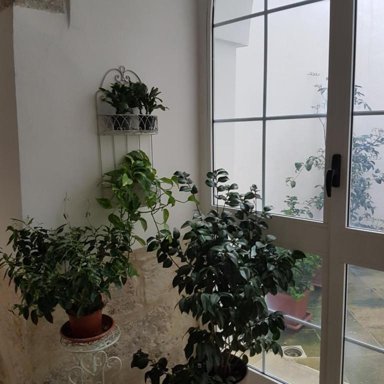 La Dimora di Clary - Casa Vacanze - 64