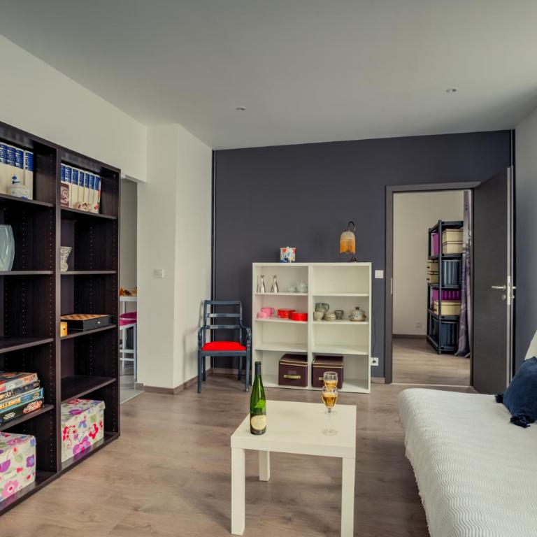 Appartement Place Kléber - Apartamento de 1 dormitorio - 10