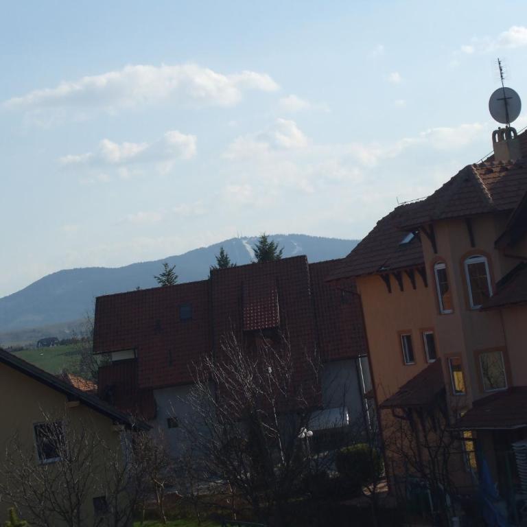 Apartman Joca Zlatibor - Apartment - 14