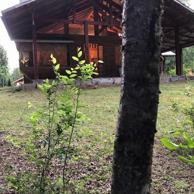Bosques de Caburgua - Four-Bedroom House - 14