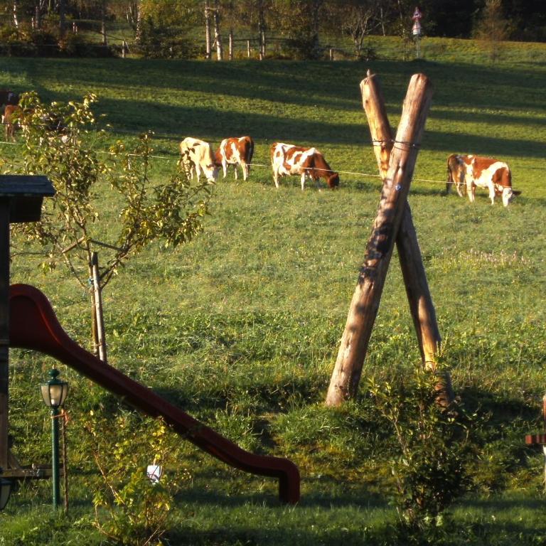 Vordersattlegghofhütte - Maison de Vacances - 17
