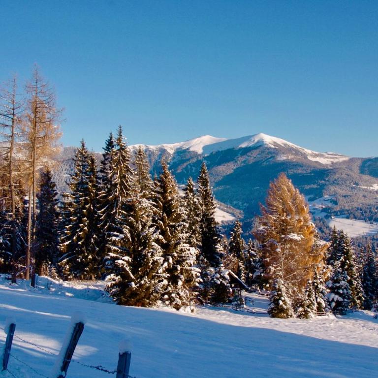 Verditzhütte - Casa Vacanze - 17