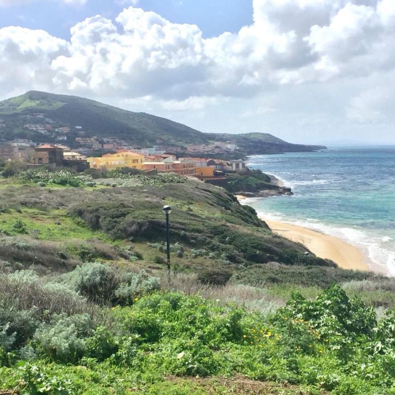 Asinara 2 - Appartamento - 17