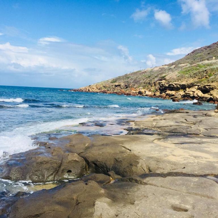 Asinara 2 - Appartamento - 22