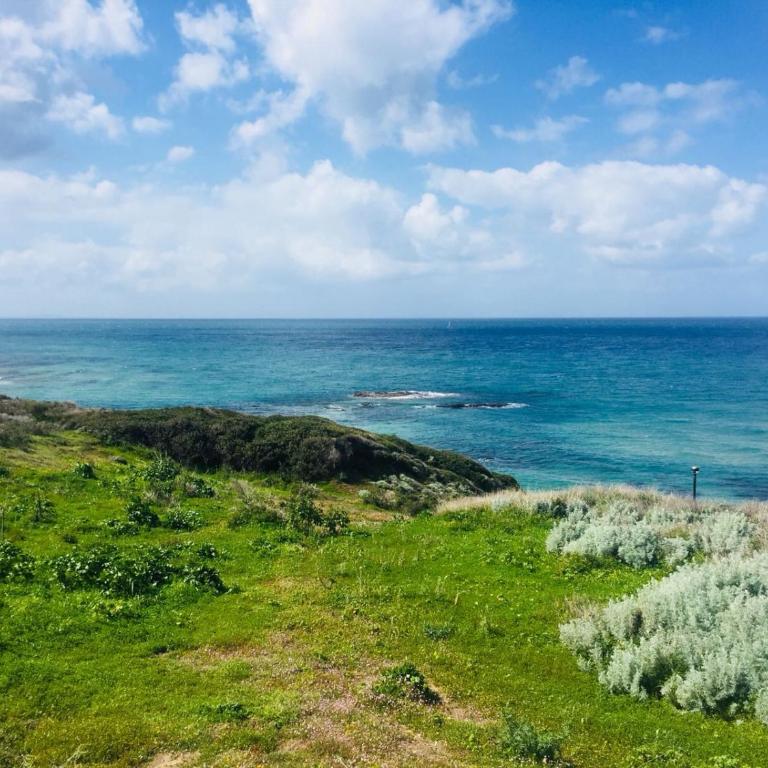 Asinara 2 - Appartamento - 24