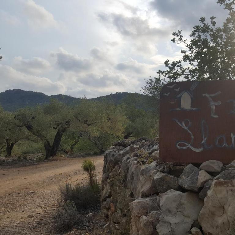 Finca Llambrich - Casa de 3 dormitorios - 32