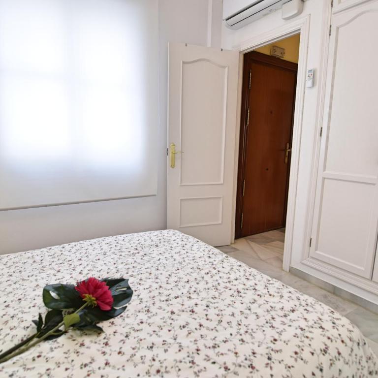 Apartamento Cister Old Town - Apartamento - 32