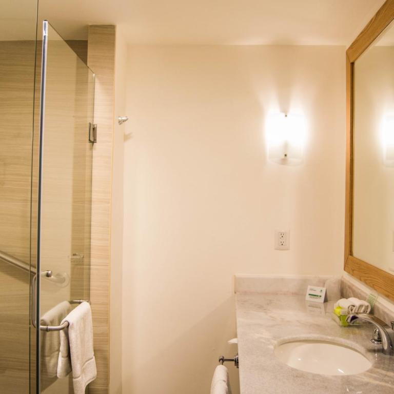 Holiday Inn Hotel & Suites Centro Historico by IHG - Habitación Estándar - 2