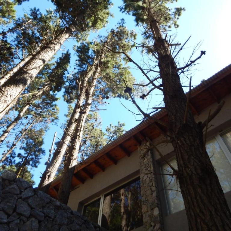 ILUSIONES Bosque y Mar - Two-Bedroom Townhouse - 45