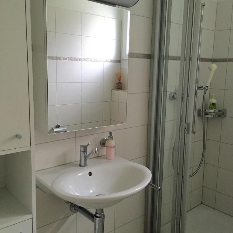 Charming Studio near Rotsee Lucerne Kitchen, WiFi, Washing machine - Apartment - 6